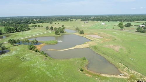 Lot 36 Acr 453, Montalba, TX, 75853 | Card Image