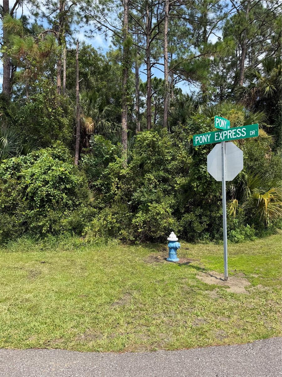 Land in PALM COAST