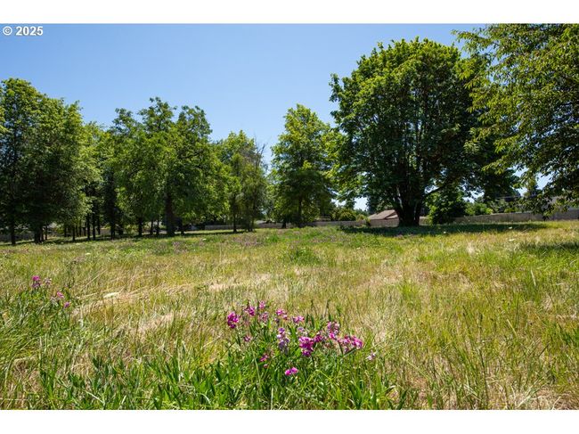 190 River Loop 1, Home with 0 bedrooms, 0 bathrooms and null parking in Eugene OR | Image 7