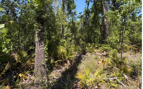 0 Sw 74th Way, Jasper, FL, 32052 | Card Image