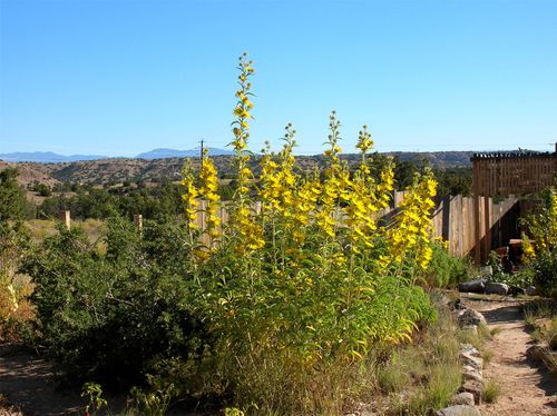 a-44 Gold Mine Rd, Cerrillos, NM, 87010 | Card Image