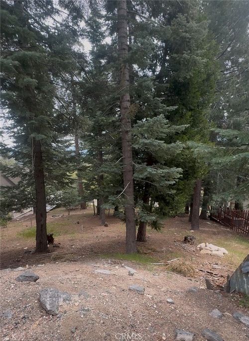295 Grandview, Twin Peaks, CA, 92391-0766 | Card Image