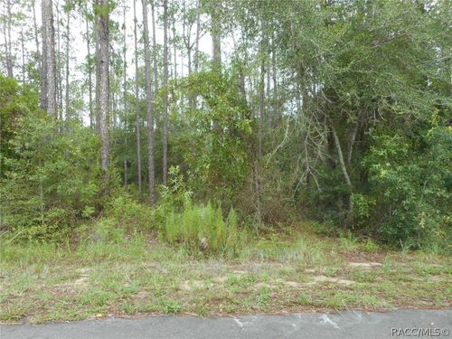 L5 Sw Southview Court, Dunnellon, FL, 34431 | Card Image