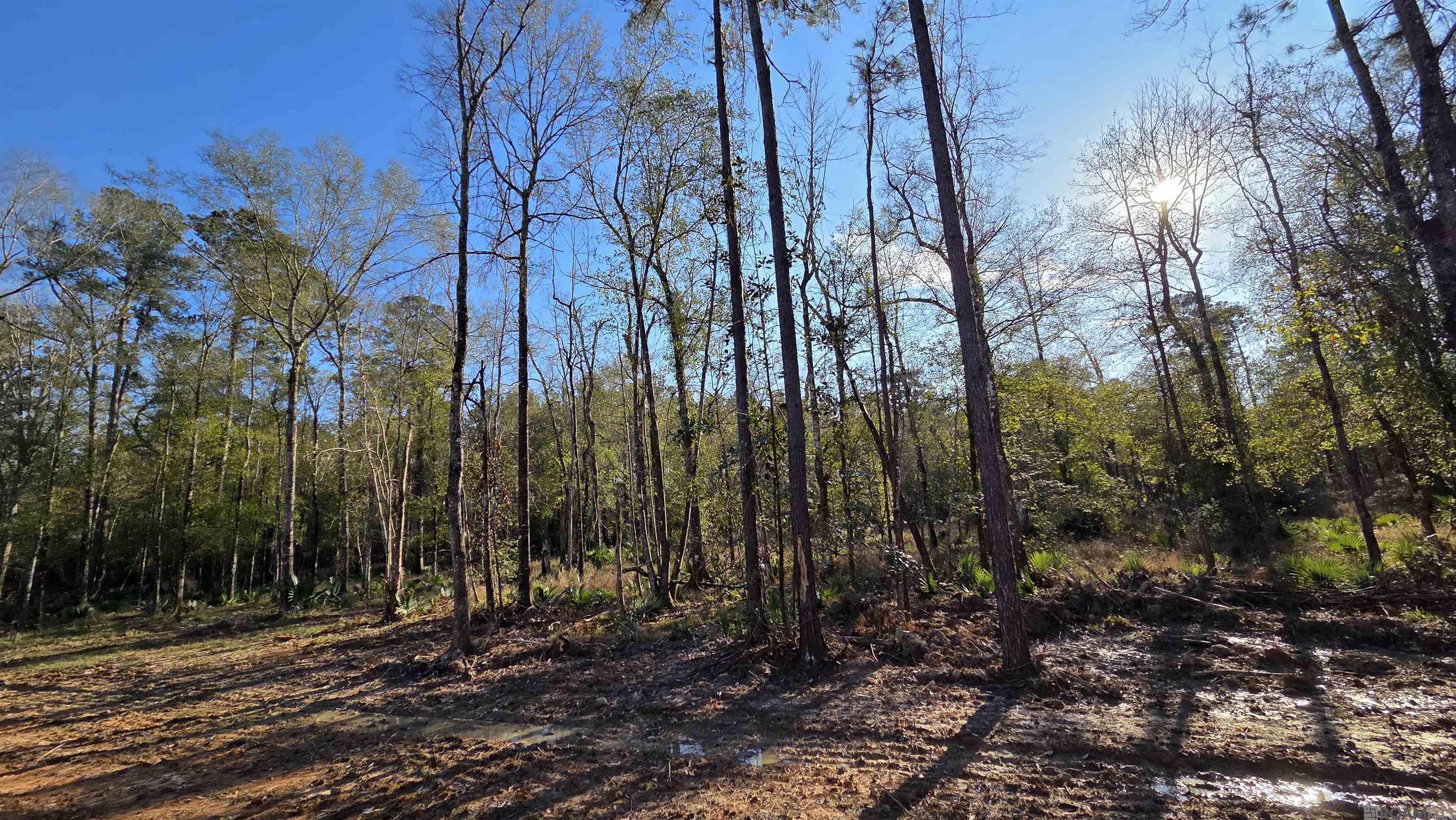 Land in Livingston 4