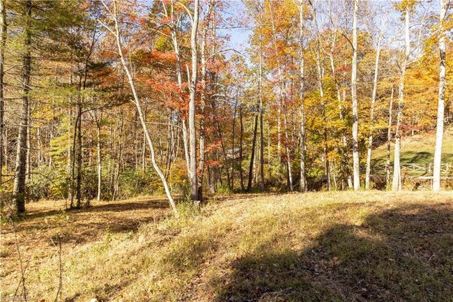 0 Laurel Creek Rd Ne, Home with 0 bedrooms, 0 bathrooms and null parking in Pilot VA | Image 23