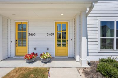 Beauty behind the yellow door | Image 3