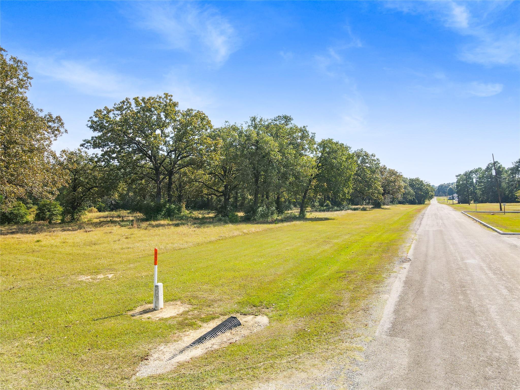 Land in Trinity 5