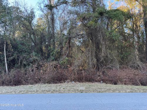 00 New Hope Church Rd, Turkey, NC, 28393 | Card Image