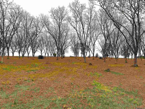 LOT 2 Louisiana Ln, Jackson, LA, 70748 | Card Image