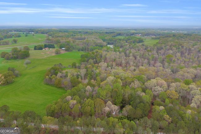 0 Carey Ford Rd, Home with 0 bedrooms, 0 bathrooms and null parking in Danielsville GA | Image 7