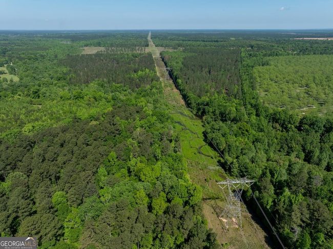 6053 Sun Hill Grange Rd, Home with 0 bedrooms, 0 bathrooms and null parking in Davisboro GA | Image 131