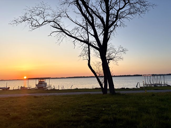 21604 E River Rd, Home with 0 bedrooms, 0 bathrooms and null parking in Grosse Ile MI | Image 6