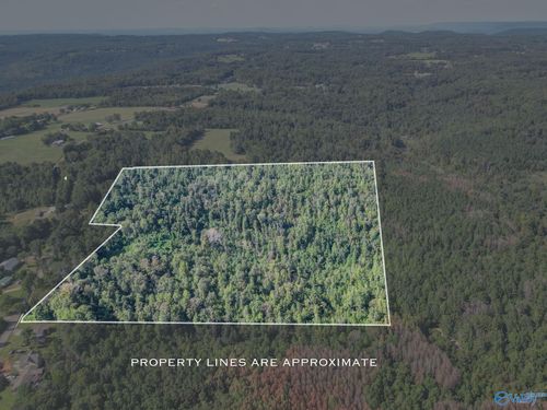 35 ACRES Pine Ridge Rd, Union Grove, AL, 35175 | Card Image