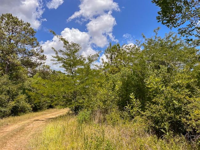 1 Avenue C, Home with 0 bedrooms, 0 bathrooms and null parking in Batson TX | Image 10
