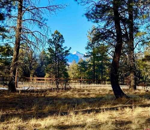 415 Oakbrush St, Pagosa Springs, CO, 81147-0259 | Card Image