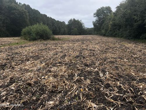 450 Swamp Rd, Pantego, NC, 27860-9415 | Card Image