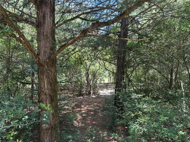 7971 County Road 2751, Home with 2 bedrooms, 1 bathrooms and null parking in Buffalo TX | Image 19