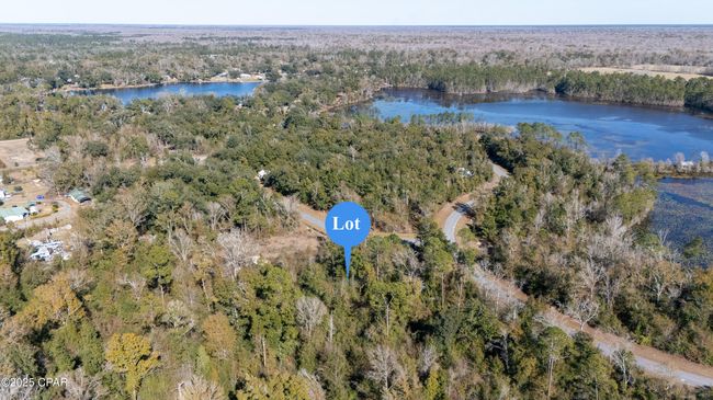 Lot 18 Seven Springs Drive, Home with 0 bedrooms, 0 bathrooms and null parking in Wewahitchka FL | Image 8