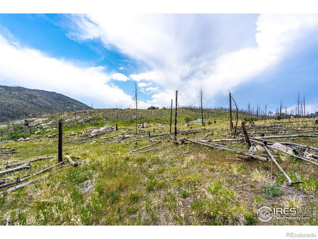 2384 Rist Creek Rd, Home with 0 bedrooms, 0 bathrooms and null parking in Bellvue CO | Image 4