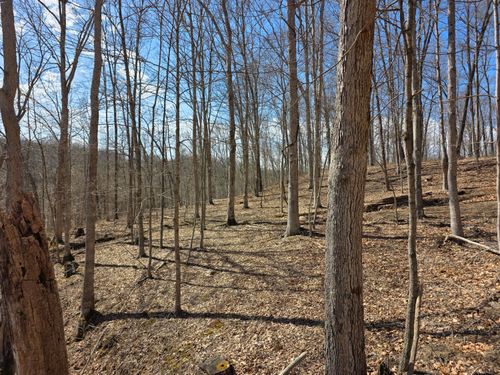 tract-5-at-big-timber-0 Edmundson Rd, Vinton, OH, 45686 | Card Image
