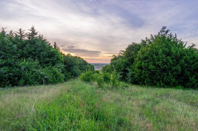 Streetview | Image 5