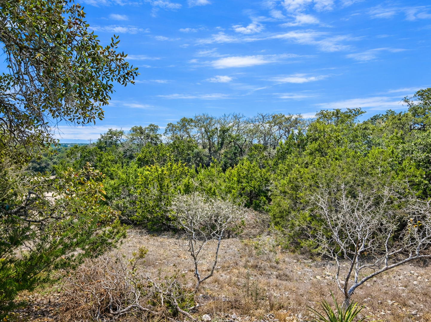 Land in Spring Branch 3