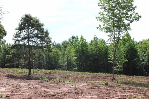 399 S Nelson Drive, Fountain Inn, SC, 29644 | Card Image