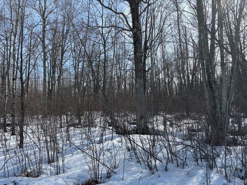 TBD Erickson Road, Kettle River, MN, 55757 | Card Image