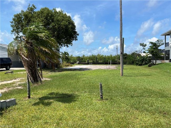 View of yard | Image 10