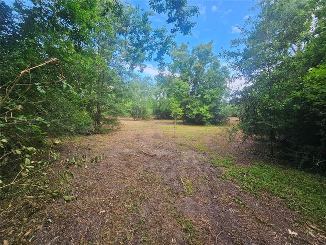 1405 Gou Hole Rd, House other with 2 bedrooms, 2 bathrooms and null parking in Cove TX | Image 6