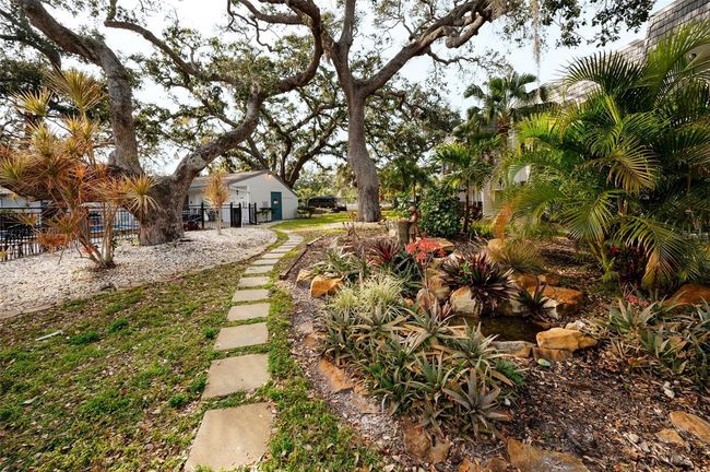 UNIT-1024 - 700 Lyndhurst St, Condo with 2 bedrooms, 2 bathrooms and null parking in DUNEDIN FL | Image 66