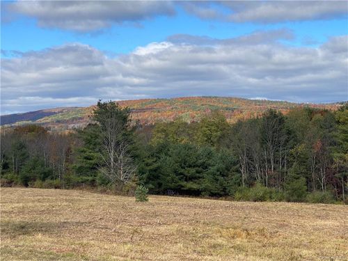  Panorama, Durham, NY, 12423 | Card Image