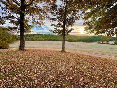 5725 Wayland Springs Rd, Iron City, TN, 38463-7606 | Card Image