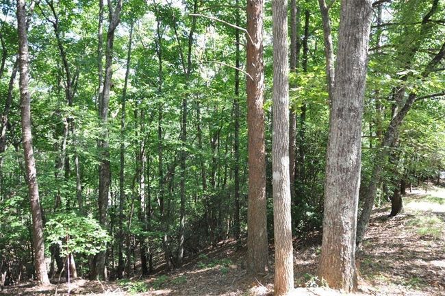 64 Wrens Nest, Home with 0 bedrooms, 0 bathrooms and null parking in Big Canoe GA | Image 11