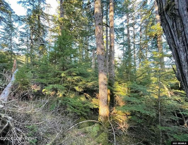 L9 B5 Beach Road, Home with 0 bedrooms, 0 bathrooms and null parking in Whale Pass AK | Image 5