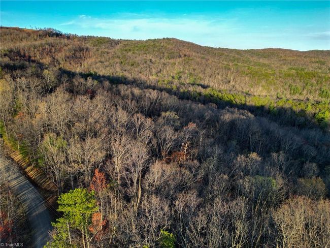 000 Gowings Knob Rd, Home with 0 bedrooms, 0 bathrooms and null parking in Mc Grady NC | Image 12