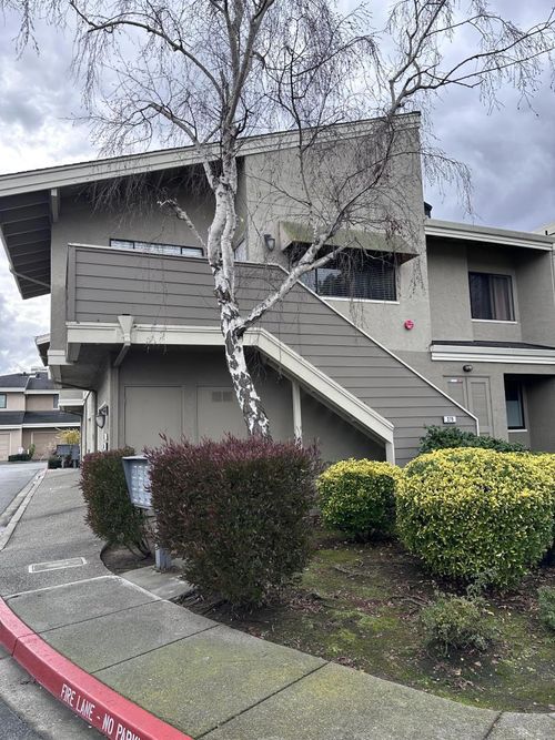 279 Bonita Ln, San Mateo, CA, 94404 | Card Image