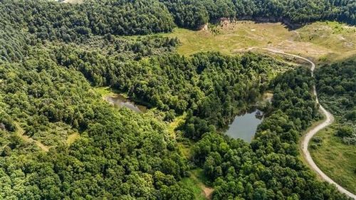 9999 Terrell Hollow Rd, Rockholds, KY, 40759 | Card Image