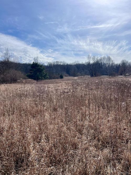 Parcel 2 Coon Lake Rd, Genoa Township, MI, 48843 | Card Image