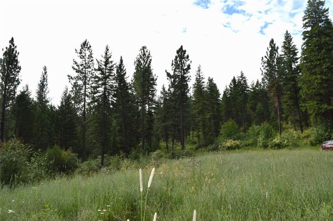 73487 Arlee Pines Dr, Home with 0 bedrooms, 0 bathrooms and null parking in Arlee MT | Image 9