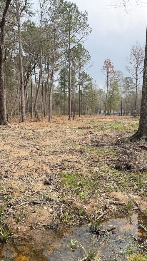 0 Dogwood Trl, Shepherd, TX, 77371 | Card Image