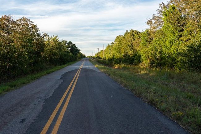 View of road | Image 8
