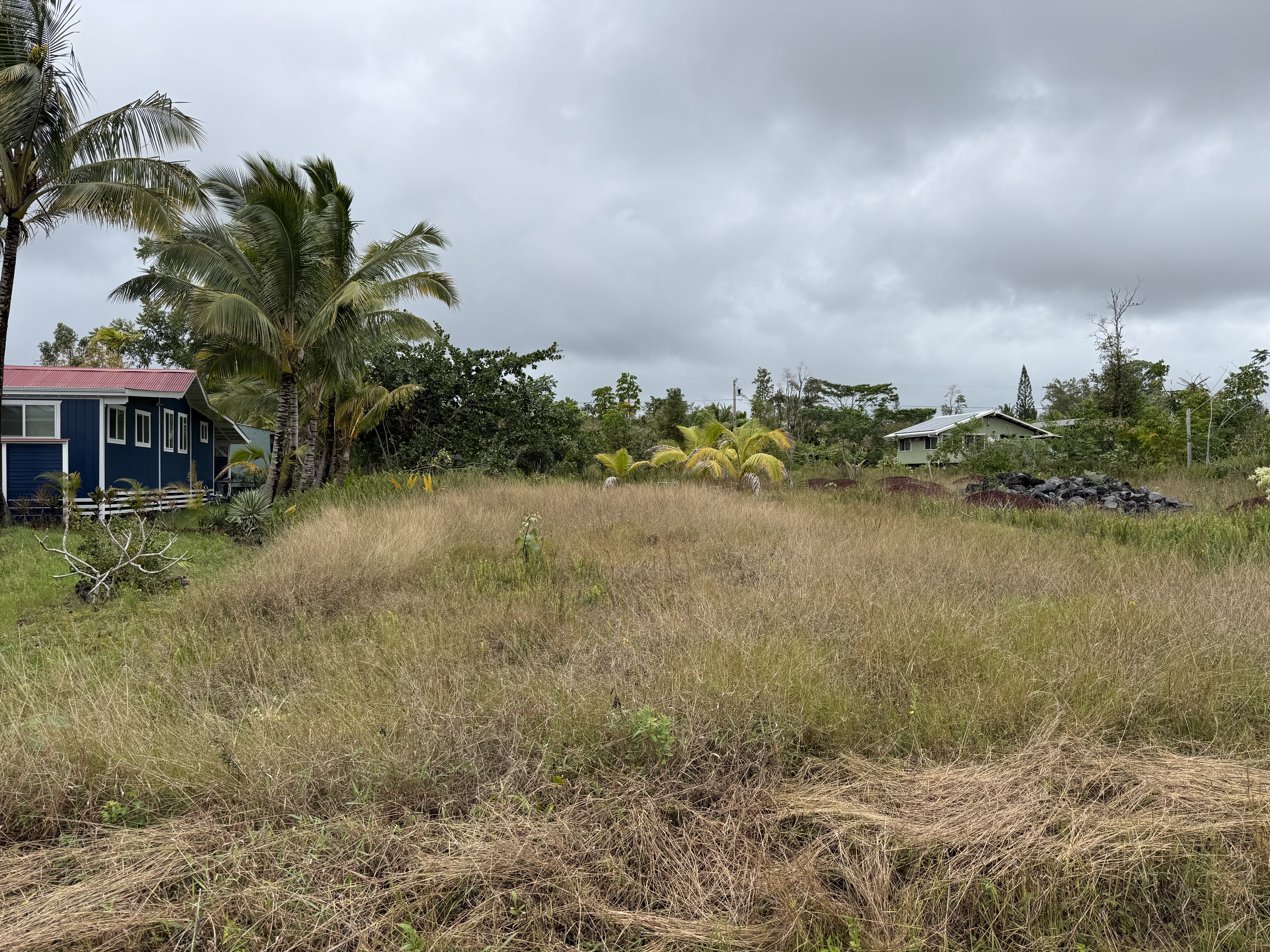 Land in Pahoa 4