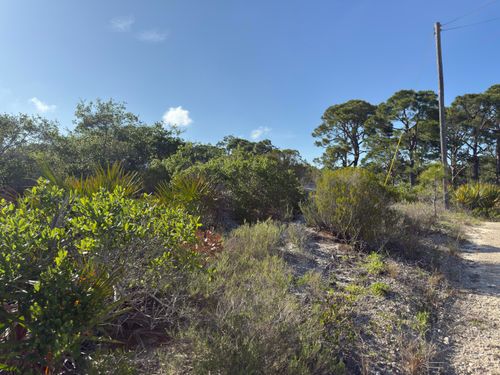 105 Sand Trace Drive, Cape San Blas, FL, 32456 | Card Image
