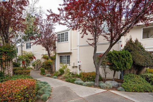 22537 Center St, Castro Valley, CA, 94541-3205 | Card Image