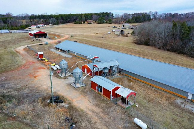 4031 Marion Rd, Home with 0 bedrooms, 0 bathrooms and null parking in Chatham VA | Image 9