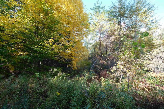 0 Ellison Loop, Home with 0 bedrooms, 0 bathrooms and null parking in Ludlow VT | Image 8