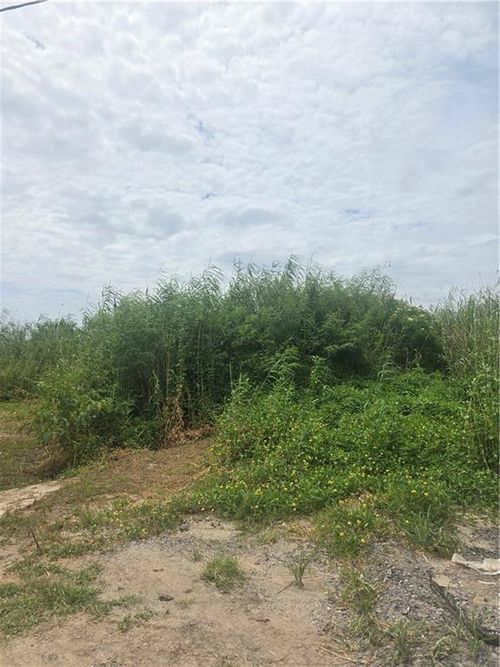 Lots 1-4 Quince Lane, Grand Isle, LA, 70358 | Card Image