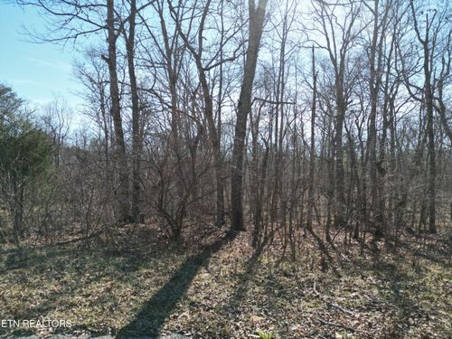 1045 Yucatan Ln, Crossville, TN, 38572 | Card Image