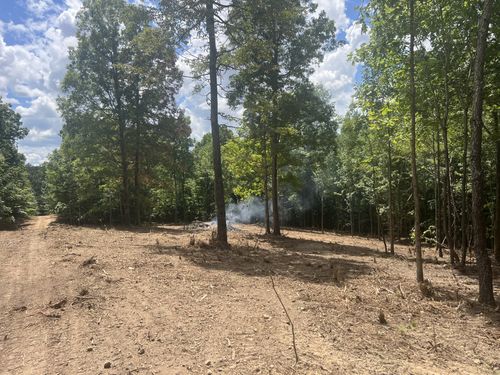 0 Upper Creek Rd, Vanleer, TN, 37181 | Card Image